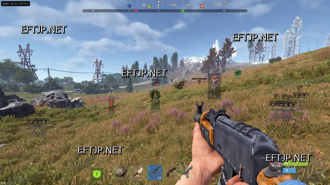 RUST gameplay